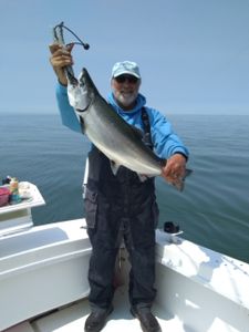 Photograph of a Pink Salmon measuring 19 inches, caught while fishing in Buffalo