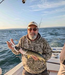 Walleye caught while fishing in Buffalo