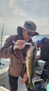 Walleye caught while fishing in Buffalo
