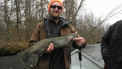 Salmon River Steelhead Fishing Guide trips