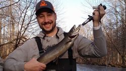 Brown Trout Fishing Pulaski