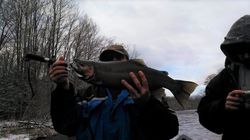 Pulaski NY Steelhead Fishing