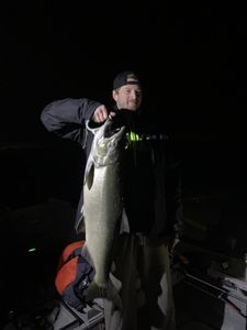 Night Salmon Run in Salmon River