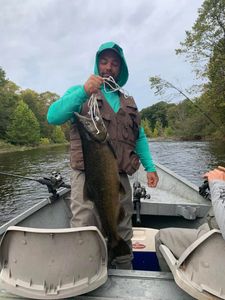 A single 30-inch fish caught while fishing in Pulaski
