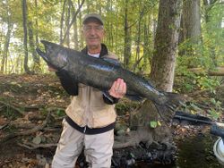 Chinook Salmon caught fishing in NY