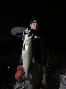 Coho salmon caught while fishing in NY
