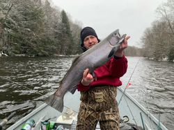 One Coho Salmon, 24 inches, caught while fishing in Pulaski