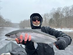 Angler catching a 27-inch fish in NY