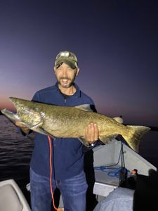 A person fishing in Pulaski