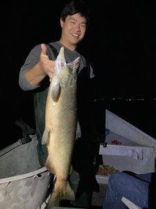 Angler fishing for a rainbow trout in NY