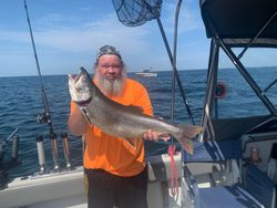 A photo of a large lake trout caught in Pulaski