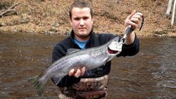 Photograph of a pink salmon, a fishing adventure in NY