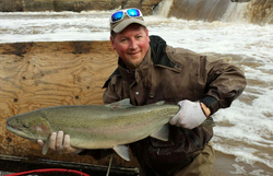 Caught a beautiful rainbow trout fishing in Mississauga