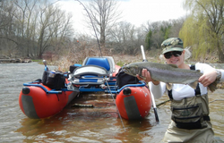 A pink salmon fish caught in Mississauga
