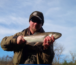 One rainbow trout caught while fishing in Mississauga