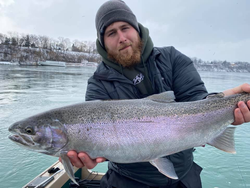 A rainbow trout caught in Mississauga, Ontario