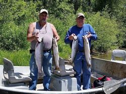 3 big fish caught in Aumsville while fishing