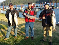 Four Chinook Salmon, a great catch in Aumsville