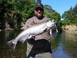 Chum salmon, 27 inches, fishing in Aumsville