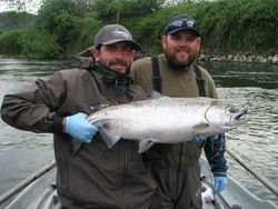 Coho salmon, fishing in Aumsville