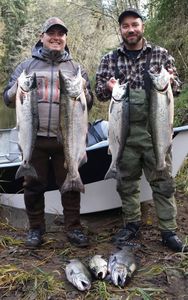 5 Coho Salmon, fishing in Aumsville