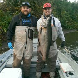Coho salmon caught in Aumsville by fishing