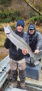 Coho Salmon caught during fishing in Aumsville