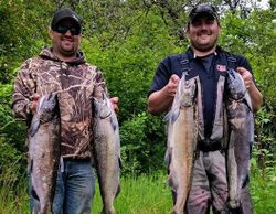 4 coho salmon, fishing in OR