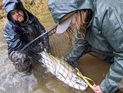 Two people enjoying a fishing trip at Aumsville
