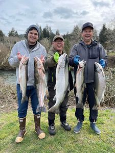 Five rainbow trout caught in OR