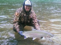 Photograph of a stunning pink salmon caught on a fishing trip in OR