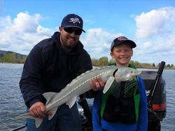 White Sturgeon, 22 inches long, caught in OR