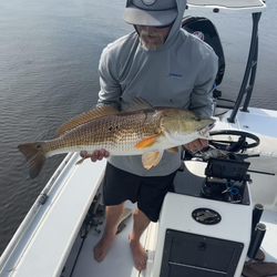 Redfish caught fishing in Jacksonville