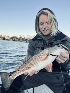 Redfish caught by angler in Jacksonville