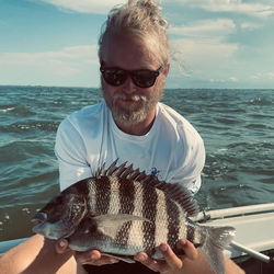 Sheepshead, a 16-inch fish, caught while fishing in FL