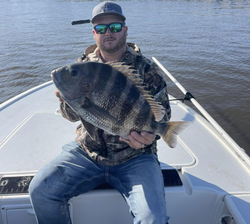 Sheepshead fish caught while fishing in FL