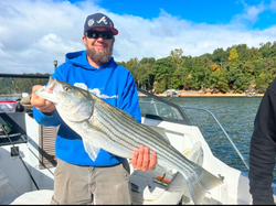 Photo of a striped bass caught while fishing in Cumming