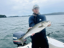 Striped bass caught in GA