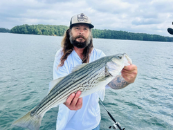 A striped bass caught in Cumming, Georgia