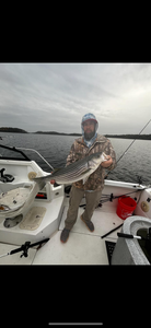 Striped bass fish caught in Cumming