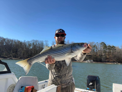 Striped bass fishing in Cumming