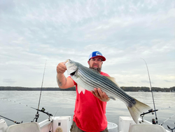 Striped bass caught while fishing in GA
