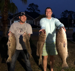 4 fish caught while fishing in FL