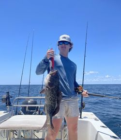 Gag grouper fish caught in FL