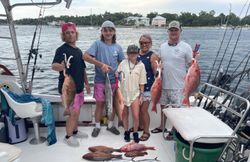 4 fish caught fishing in FL
