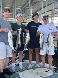 3 striped bass caught in OK
