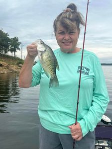 Solid crappie catch on the lake