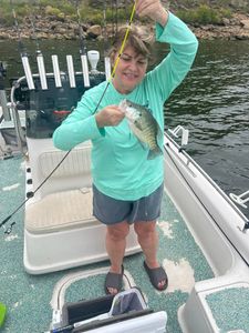 Fun crappie catch on the lake!