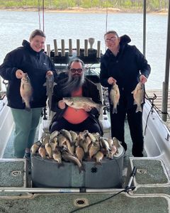 6 wiper and lingcod fish caught in OK