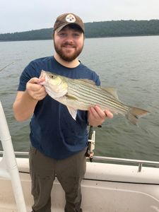 Fish-Species